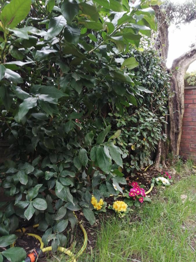 Casa Nonnanna - Nonnanna Home Viareggio Exterior photo